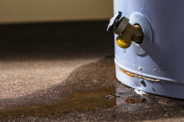 Best Basement water damage restoration  in Jupiter, FL