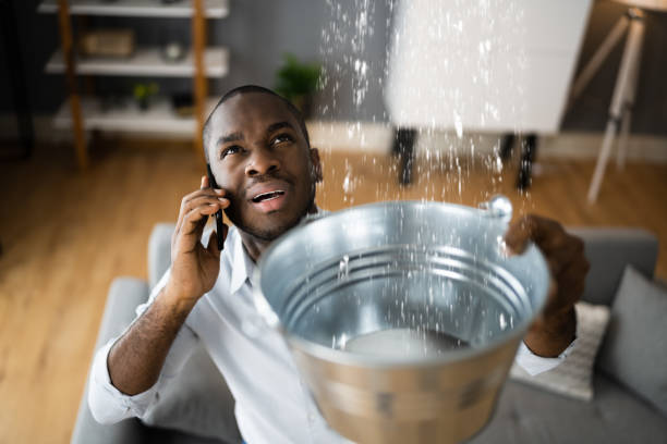 Best 24/7 water damage repair  in Jupiter, FL