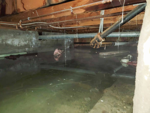 Best Commercial water damage restoration  in Jupiter, FL