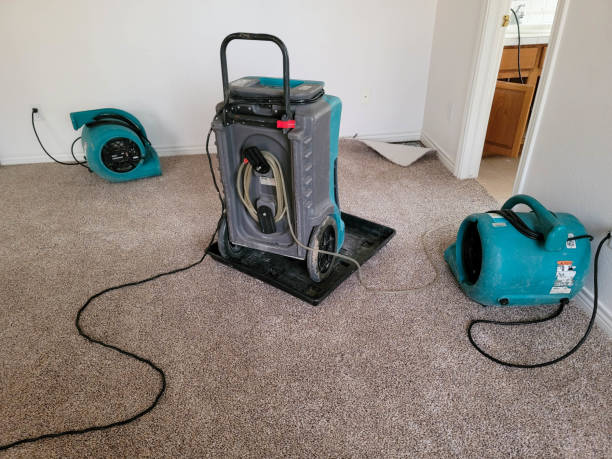 Best Fire Damage Restoration  in Jupiter, FL