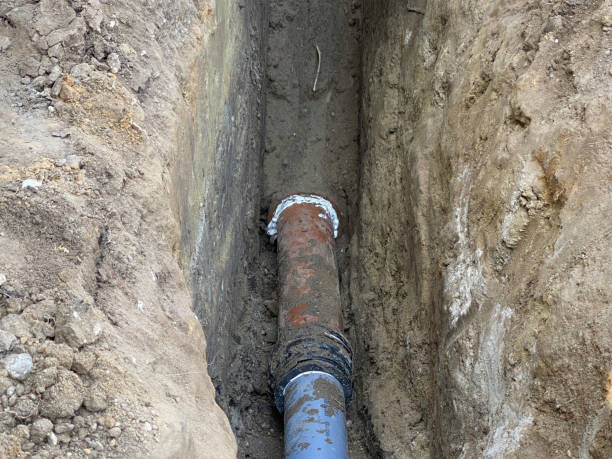 Best Basement water damage restoration  in Jupiter, FL