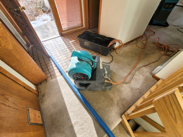Best Mold removal after water damage  in Jupiter, FL