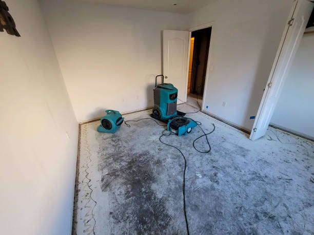  Jupiter, FL Water damage restoration Pros