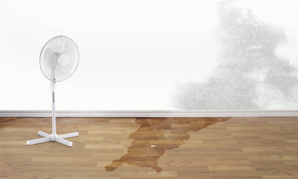 Best Residential water damage restoration  in Jupiter, FL