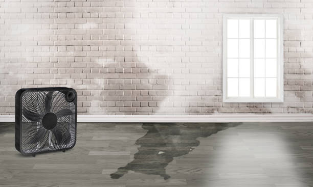 Best 24-hour water damage restoration  in Jupiter, FL