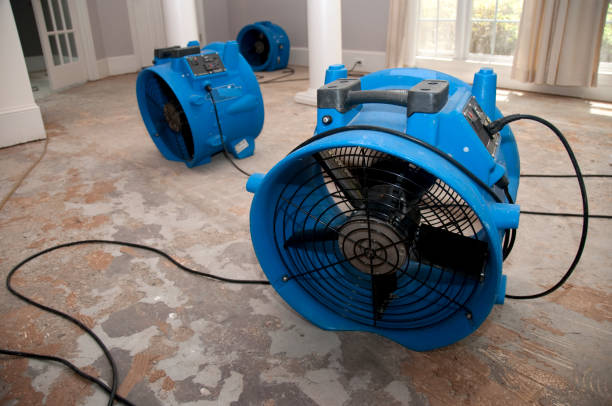 Best Flood damage cleanup  in Jupiter, FL
