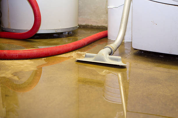 Best Basement water damage restoration  in Jupiter, FL