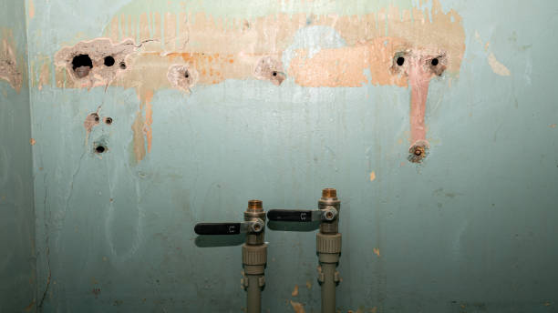 Best Water damage restoration near me  in Jupiter, FL