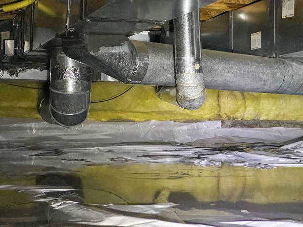 Best Flooded house restoration  in Jupiter, FL